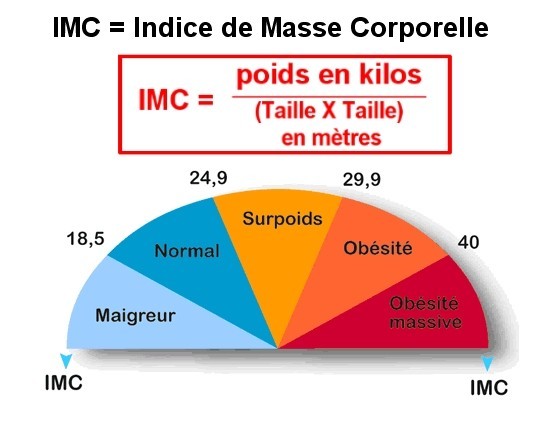 Impédance: la balance qui mesure votre masse musculaire et le ratio muscle/ masse grasse - KOSS